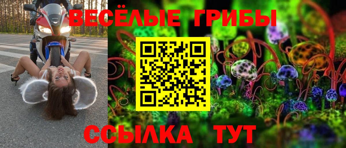 Янаул  Псилоцибиновые грибы прущие грибы  Псилоцибиновые грибы мицелий  сколько стоит  Вход с VPN 