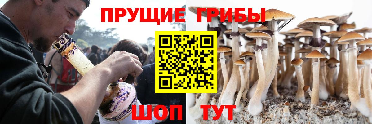 Галлюциногенные грибы Psilocybine cubensis Янаул